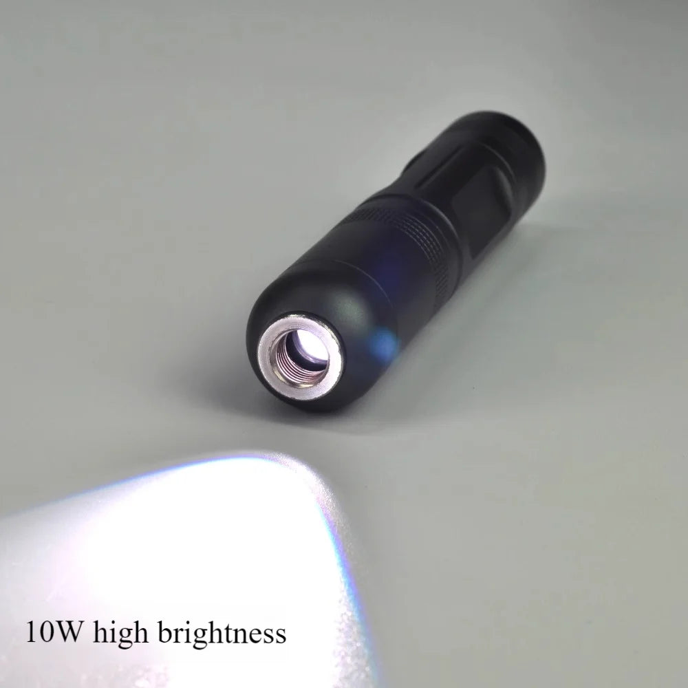10W Portable High Brightness Adjustable LED, Handheld Endoscope, Cold Light Flashlight, Vet Ear, Nose and Throat Inspection