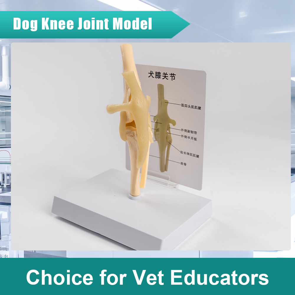 S01f0dc1a72494b29bad7ba74c4136641J