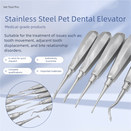 Dental Elevator Stainless Steel Tooth Dentist Tools Kit Straight Curved Root Elevator Minimally Invasive Dentistry Tools