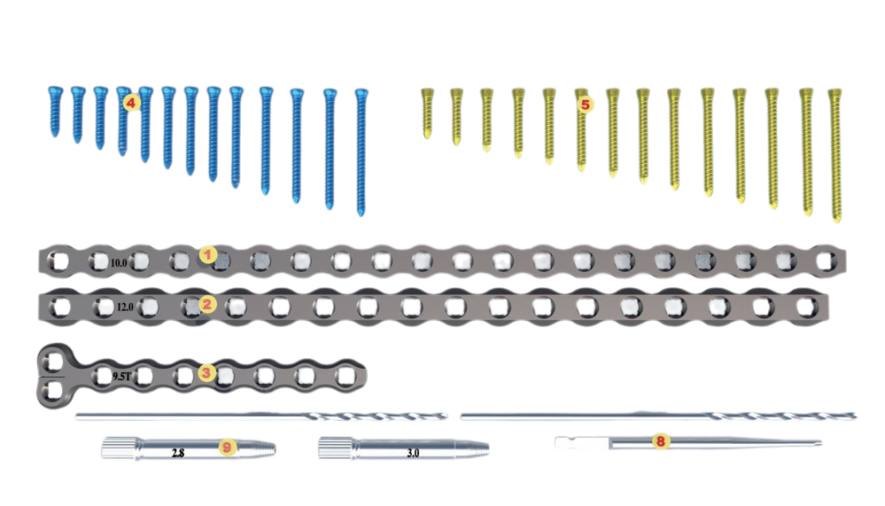 S03aff7dd7ac1479d943de2a47d4a99838-1