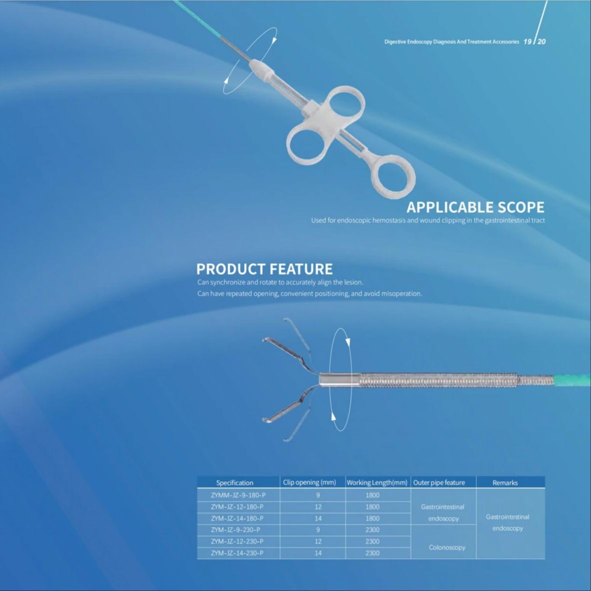 S08f2993a9f4941fcab2509a17b95c5dbz