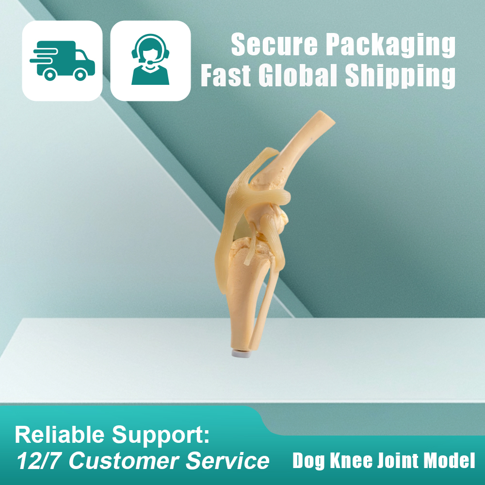 S0de2fdeaf7624c8893e7756df37cfeafZ