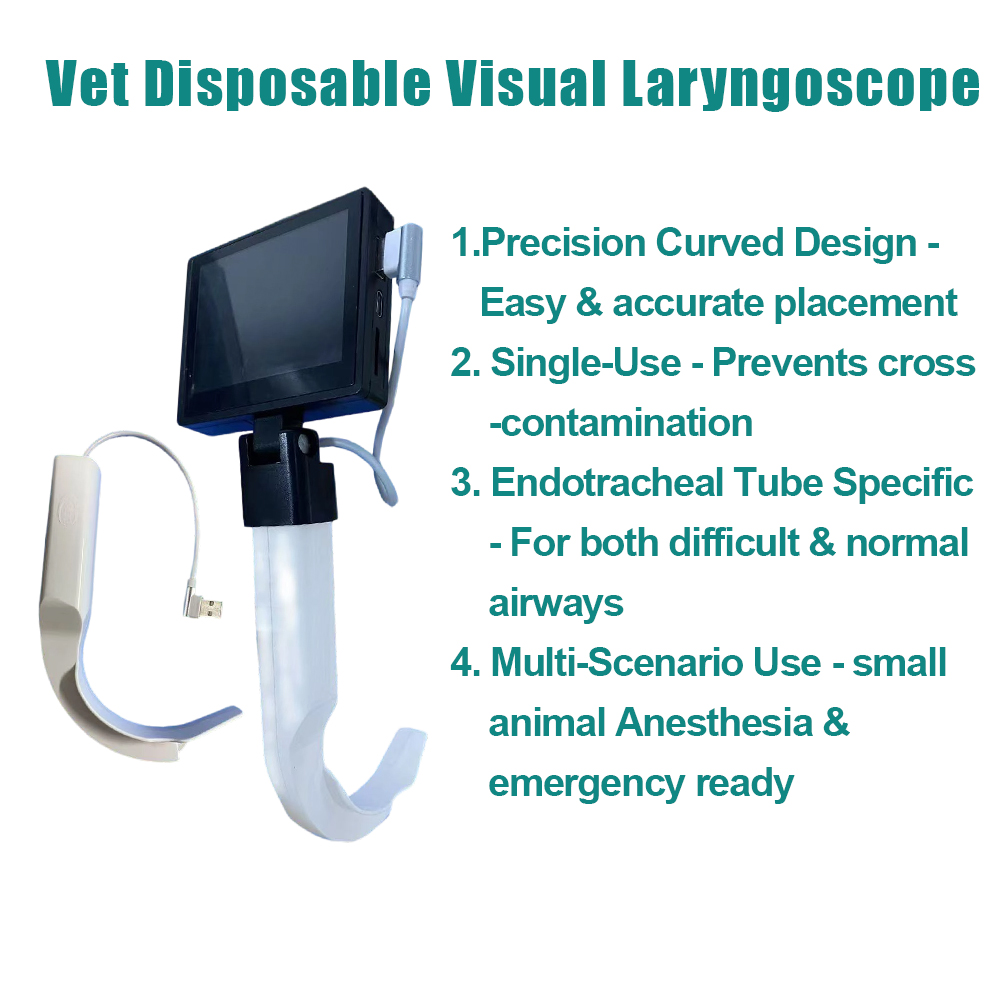 S0fed64198b11441d99ab745ca36c9c8av