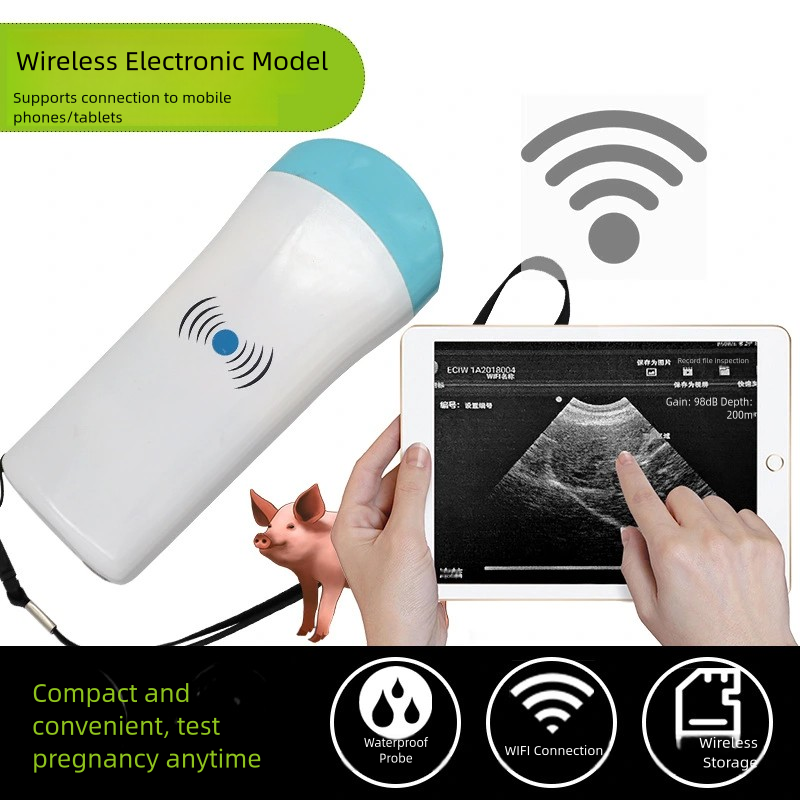 S1cc0081c84ad438a9239965c0da378454