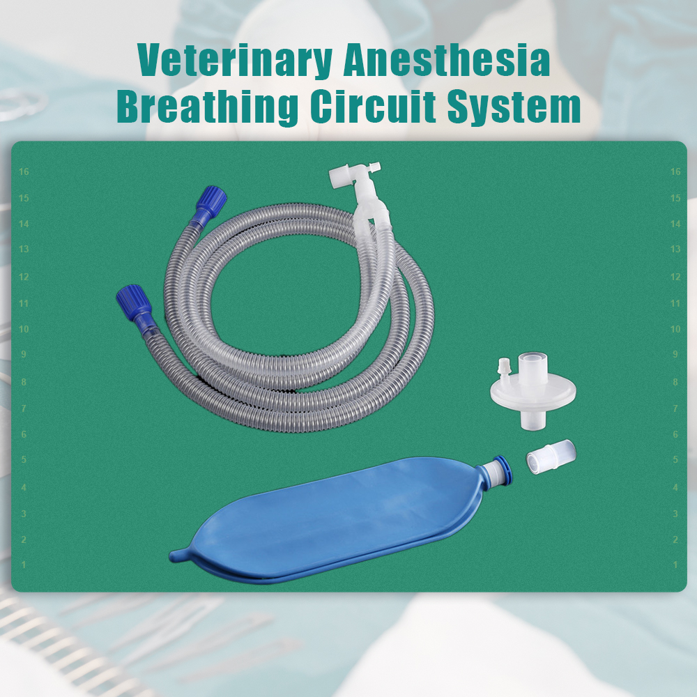 S23c7d20a821c4c6cbf508411a42021edD