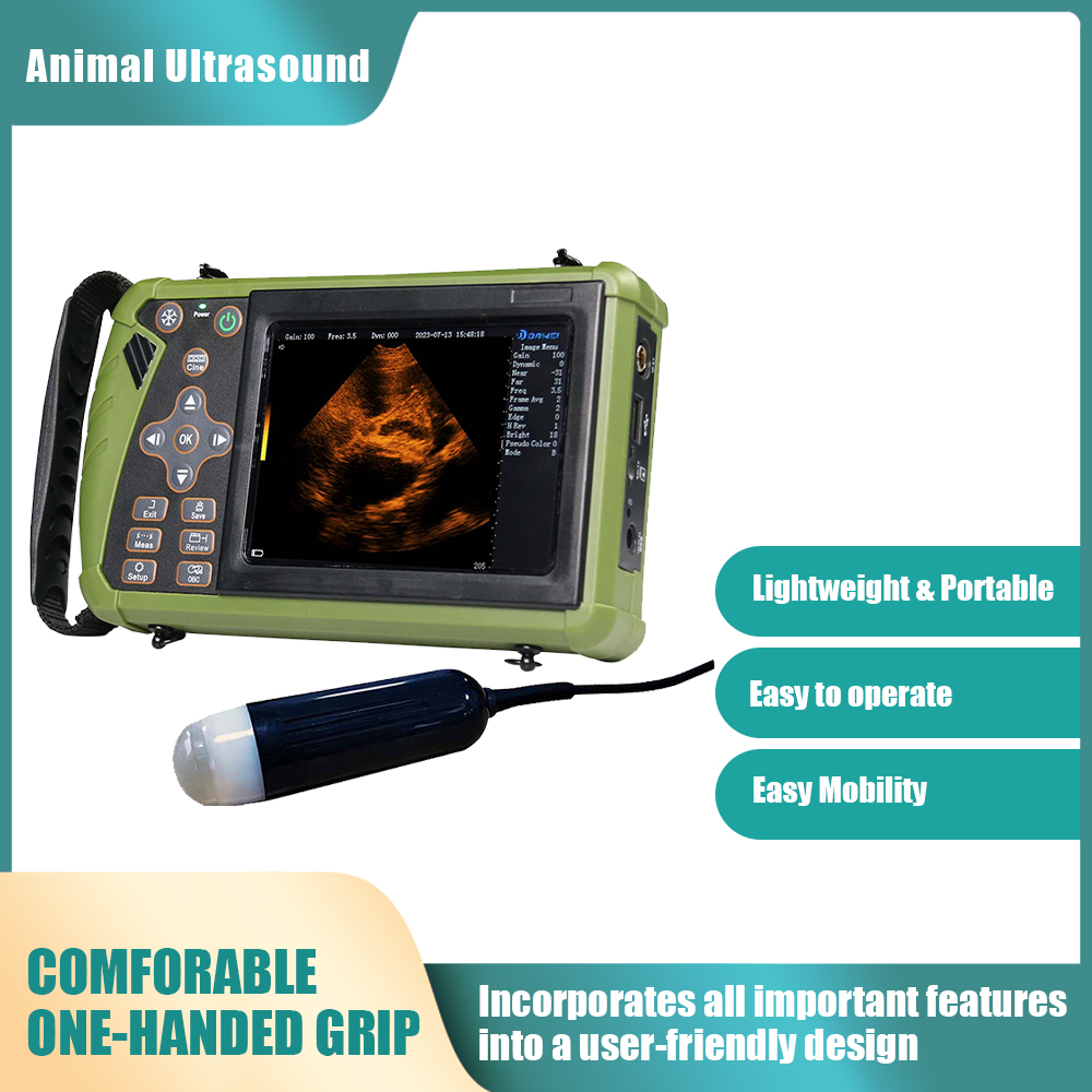 S29a91770da04430186c1f883b27f1212c