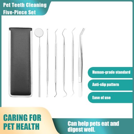 Stainless Steel Pet Dental Care Kit - Tartar Remover Tools for Dogs & Cats, Probe,Tweezers, Mouth Mirror & Scalers
