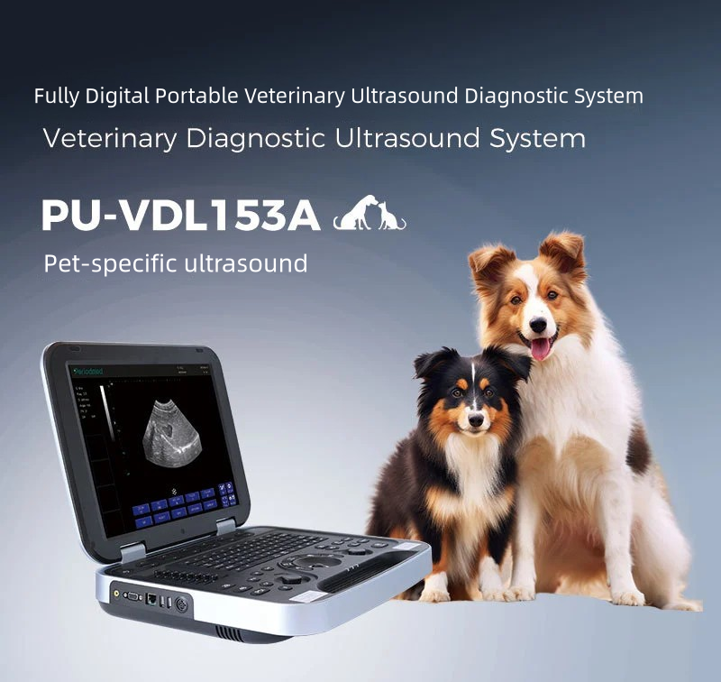 S32e1d15830cc48f4bd4f2e1788941e216-1