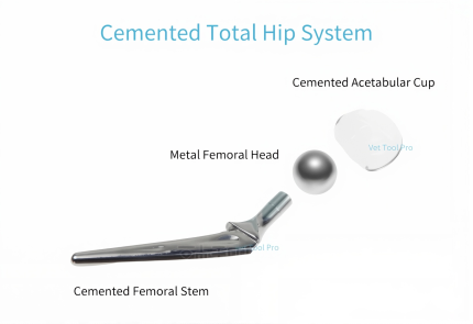 Cemented Total Hip System Cemented Femoral Stem Cemented Acetabular Cup Metal Femoral Head Veterinary Orthopedic Instruments