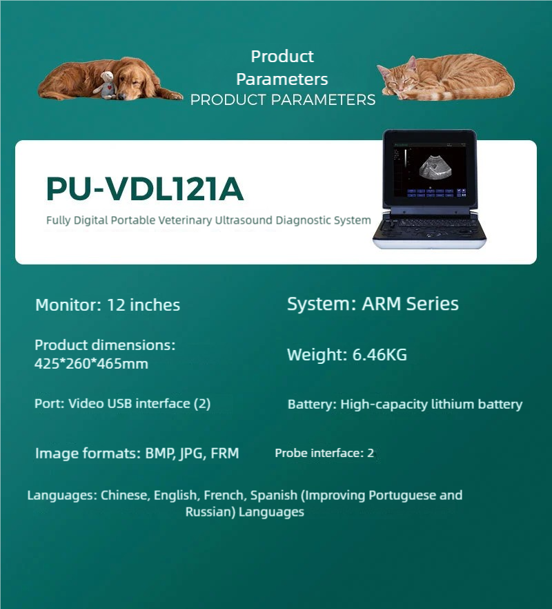 S3ec3522e49f249f5aa7dfb04fd6d3857c