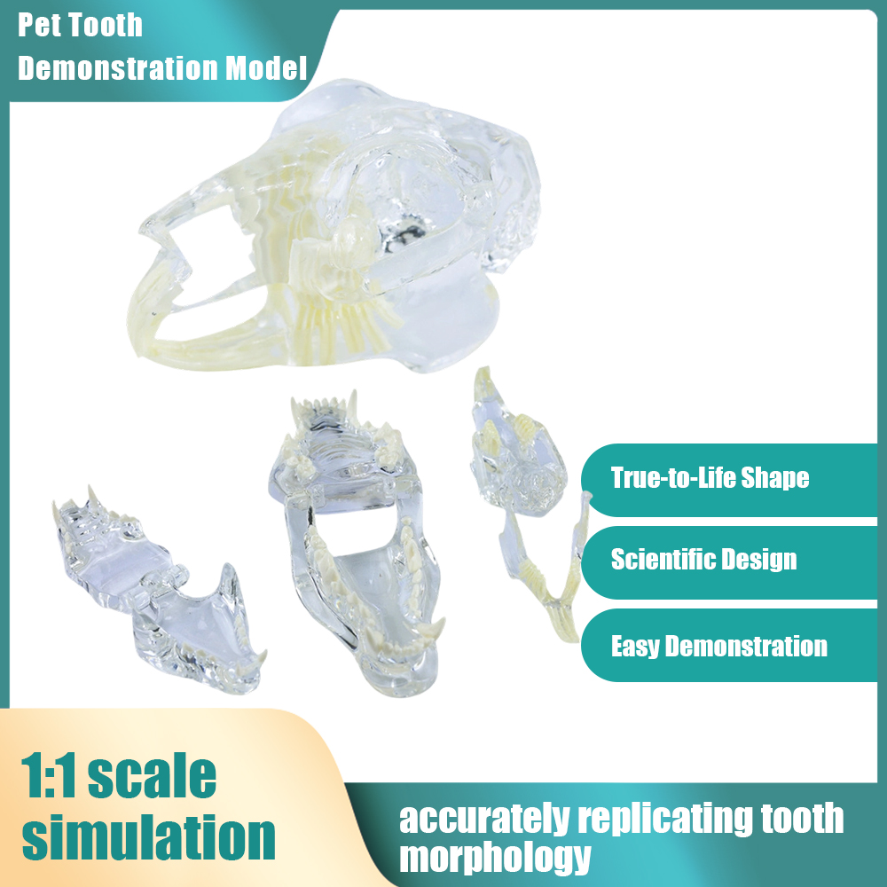 S40a456caae3a49769aca64ba58b17e66E