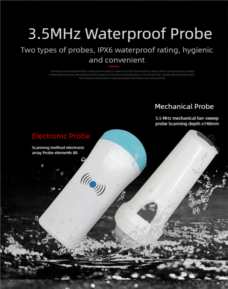 S4f9fb6bd750e4b5283279c57993518a9z