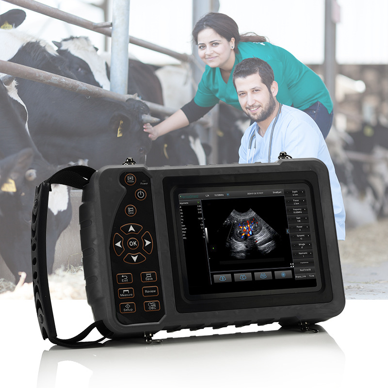 S4fd7d72148b649a4a9a50e833c895e37F