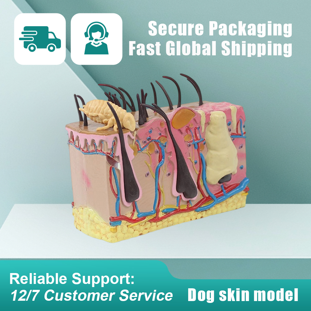 S6104fcc01b0748fdbe8fb9ab559e08e3O