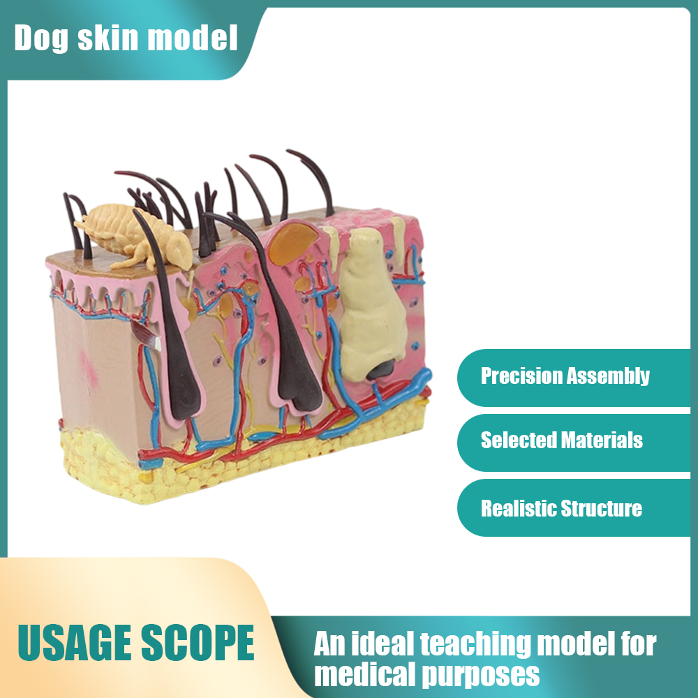 S6478e4ba92354fbcbbe4a1ed8a8b15306