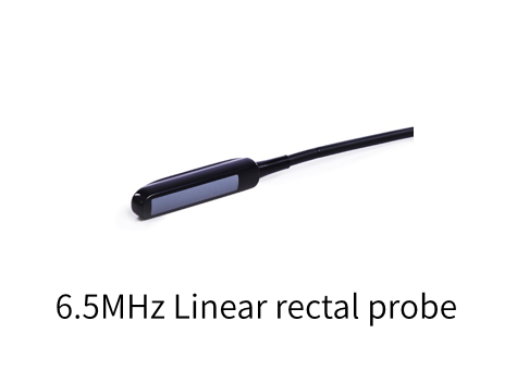 S68a3b99d09924503bc06f7c3c13d281fZ