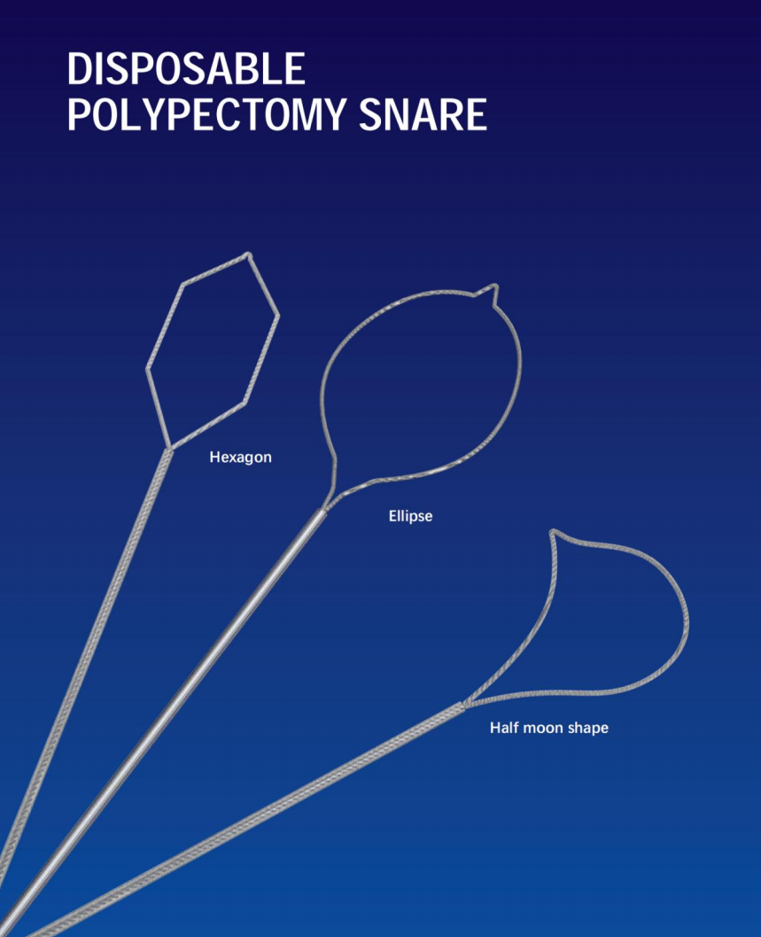 S68fe2d649a6f4ee29dd6e9ff3f46fe6c5-1