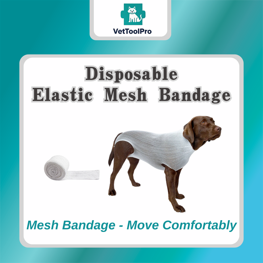 S7245cf9a18514942bde8bbda1c6efa58S