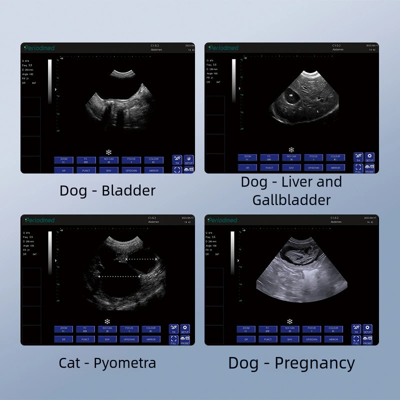 S76e7d5b9855c45d19d61b33d2a5491d4U