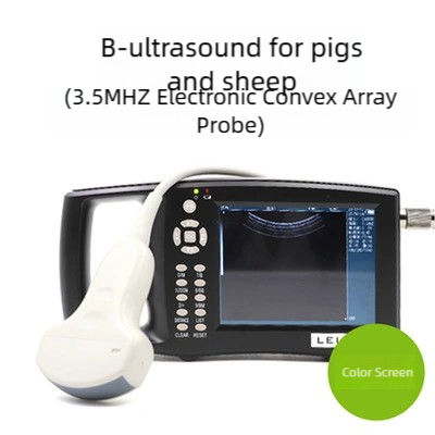 S784dff114cb34c1ea2d5eecc81f98ed0y