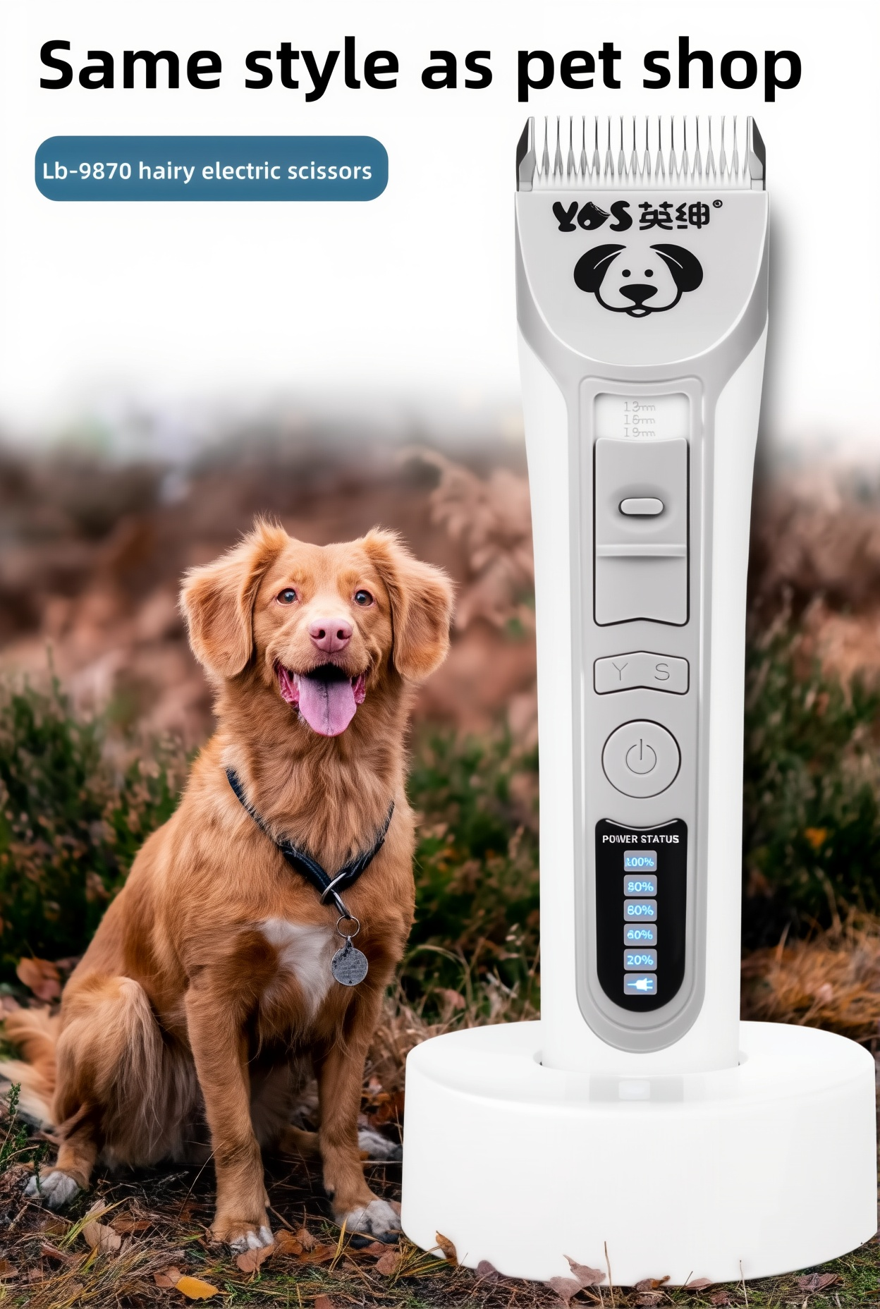 S78747150c09e46a1901eed900a72a3b42-1