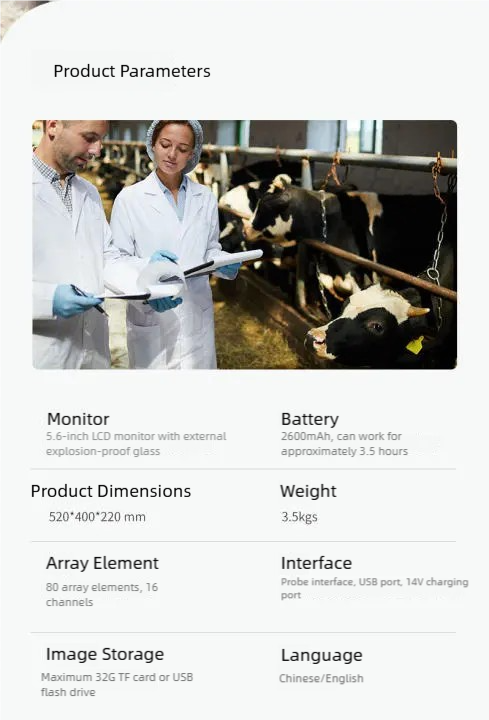 S7972fde607b54c6cbf577246532c924fG-1