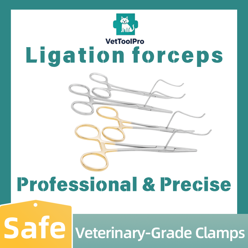 S7df61f4e72da40ed9912635a58922ddcA