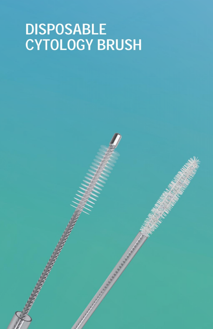 S8278217d7f4543bfb7c47ea20b34e605Z-1