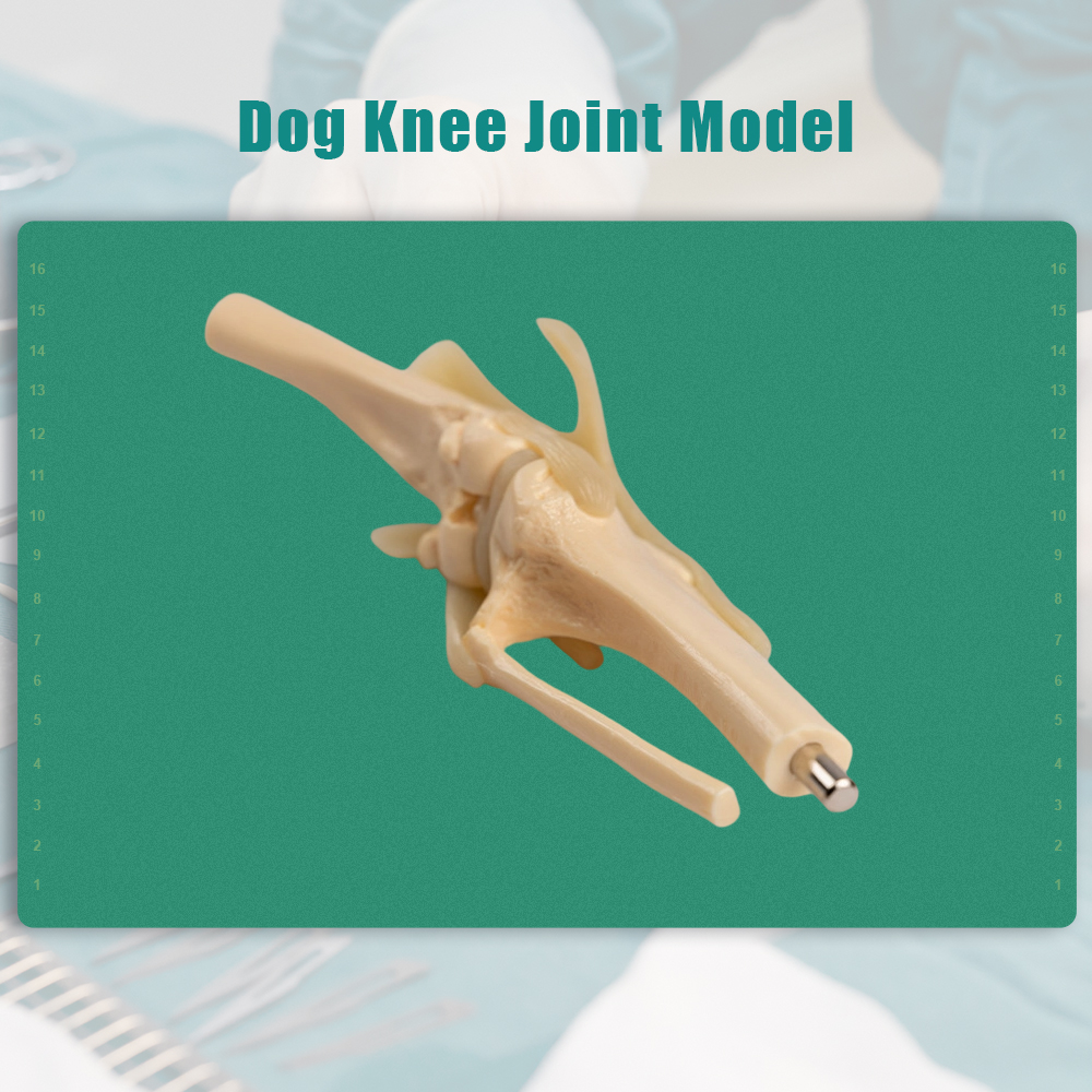 S89026930095248ad91c69ade553a2a2d5