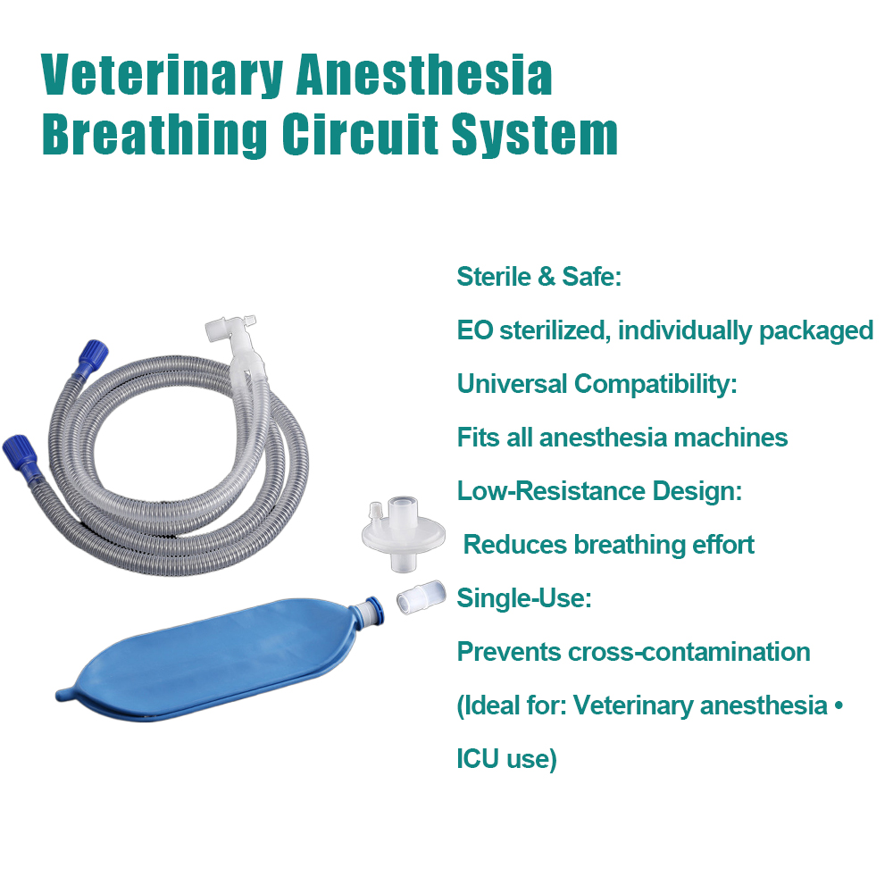 S9824c652436a4280ac2b6a048d2f5ea2s