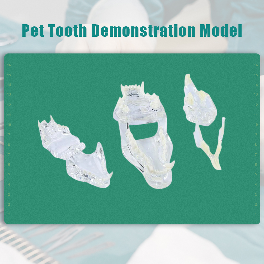 S9a753a4402fa46b7aff138c0bbd33de9N