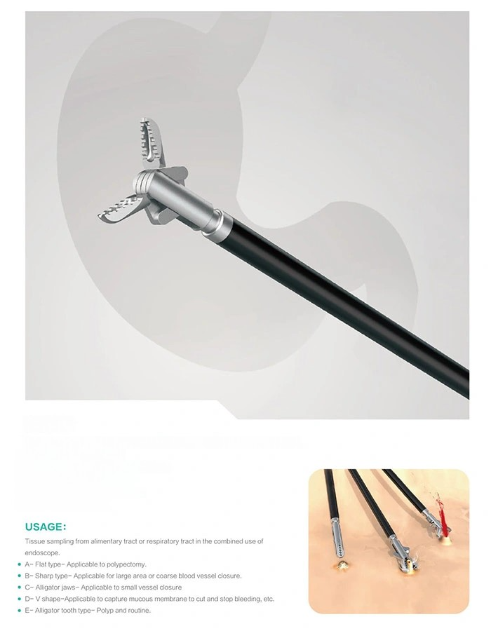 S9adbc632f4564db0ad421427108fae70F