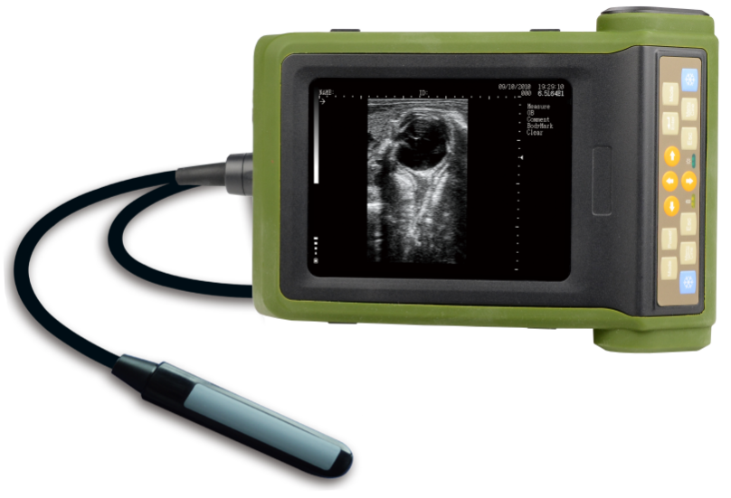 S9d27089576cb4dee9338d48780100d58r