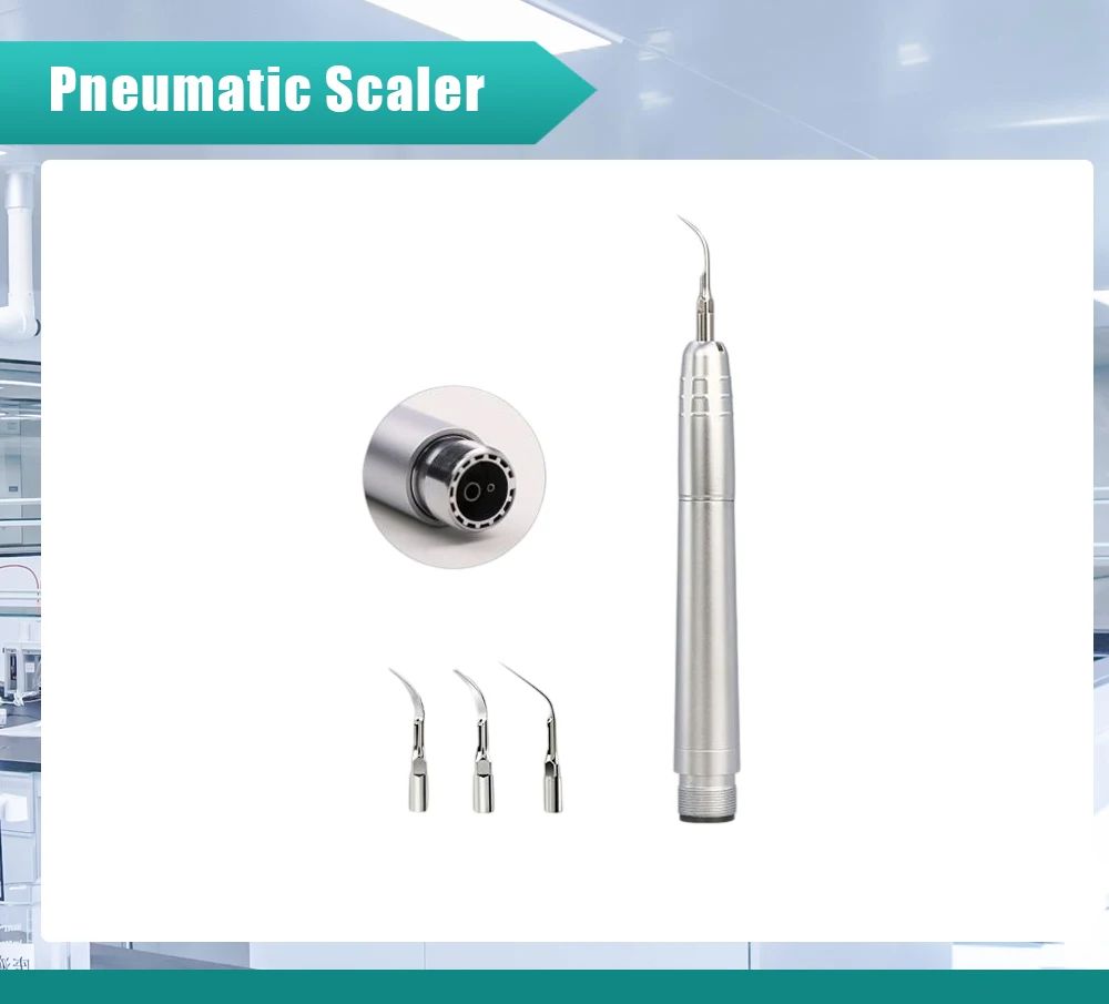 S9d5a56fec3d840e9a8e2554dda82e3b13