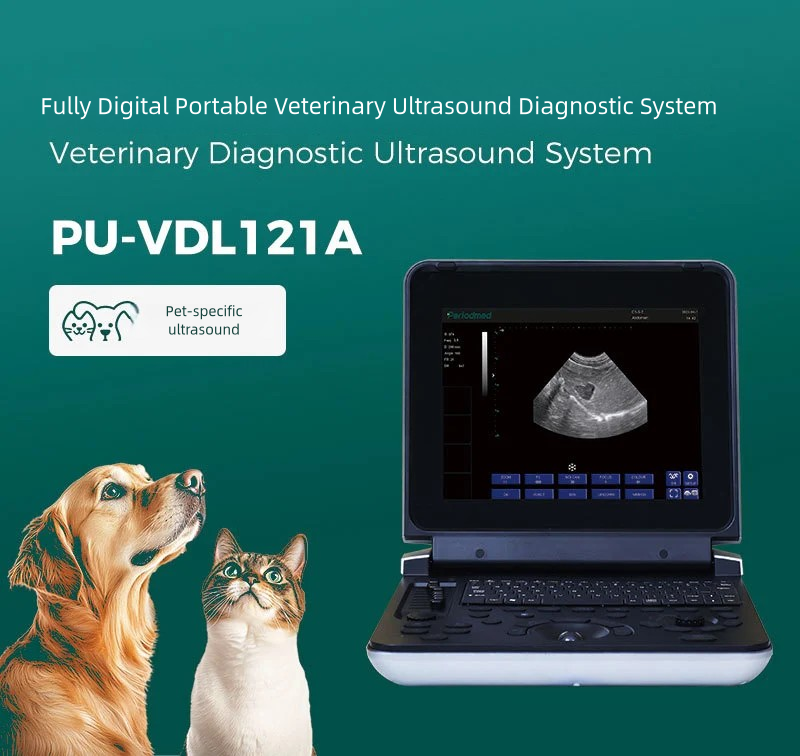 S9ed21fefb43c478d925322e22b1f03f1I