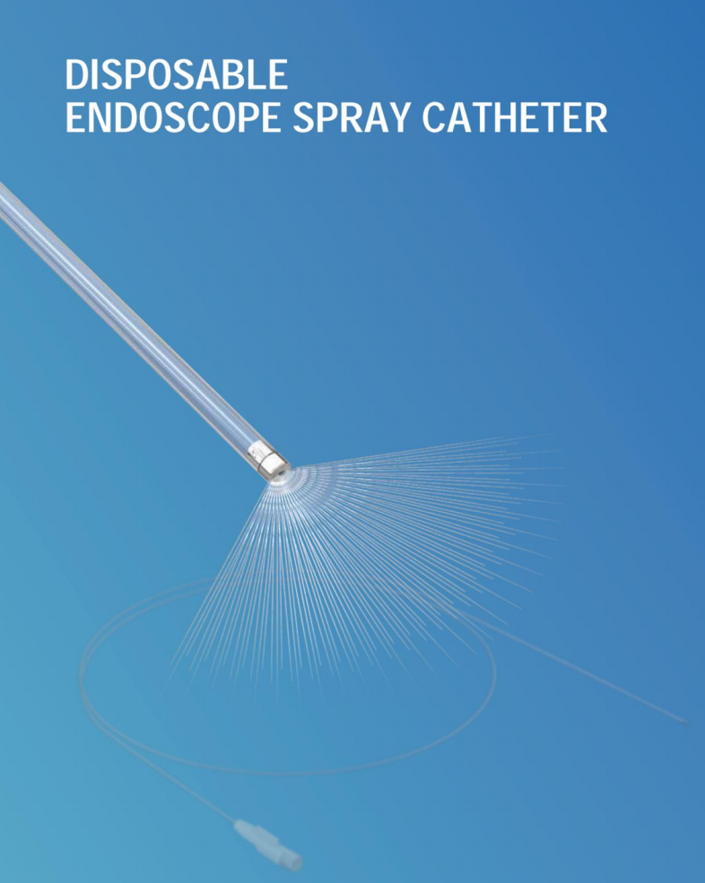 Sa0b50f87dddf49769e29094e03bc2620B-1