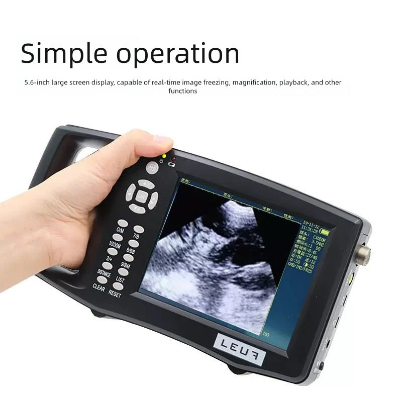 Sa5ccc9cf26e5434c8421b6473e43987cM-1