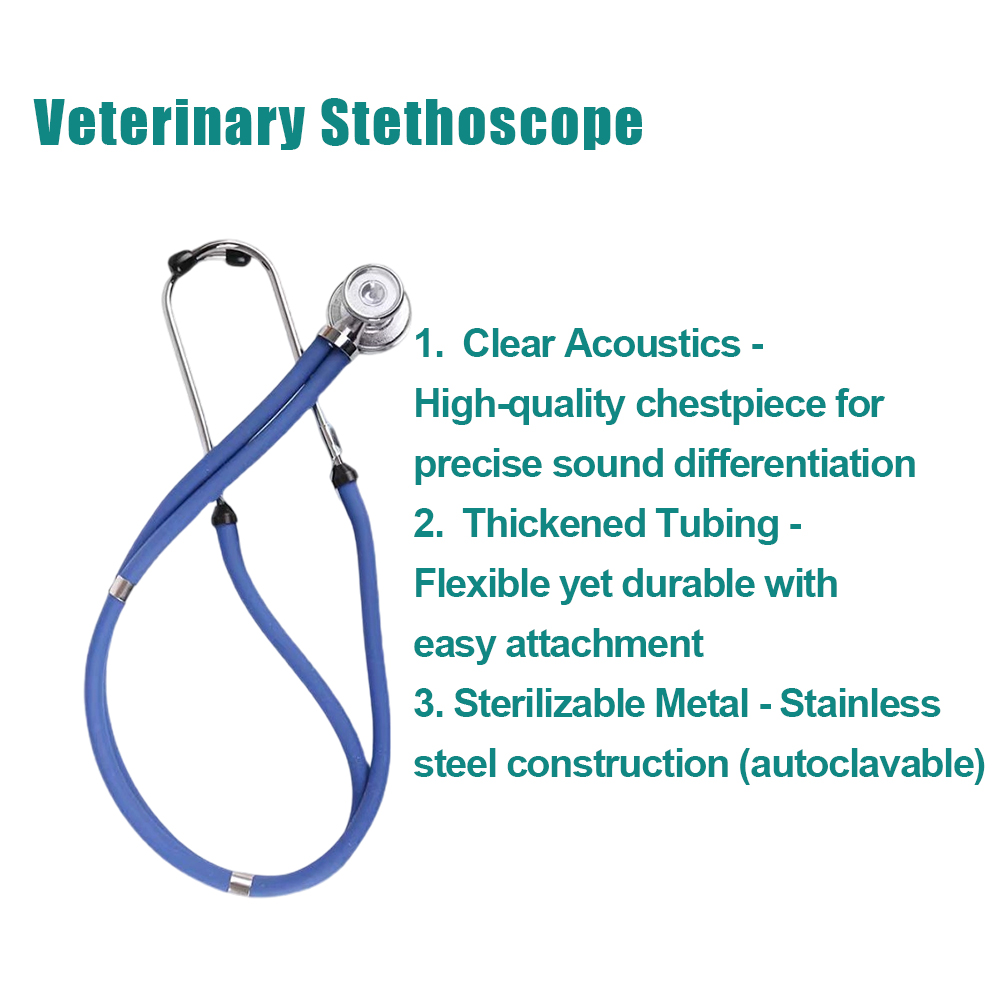 Sb321a19d8626431b938ab2ef123ee495K