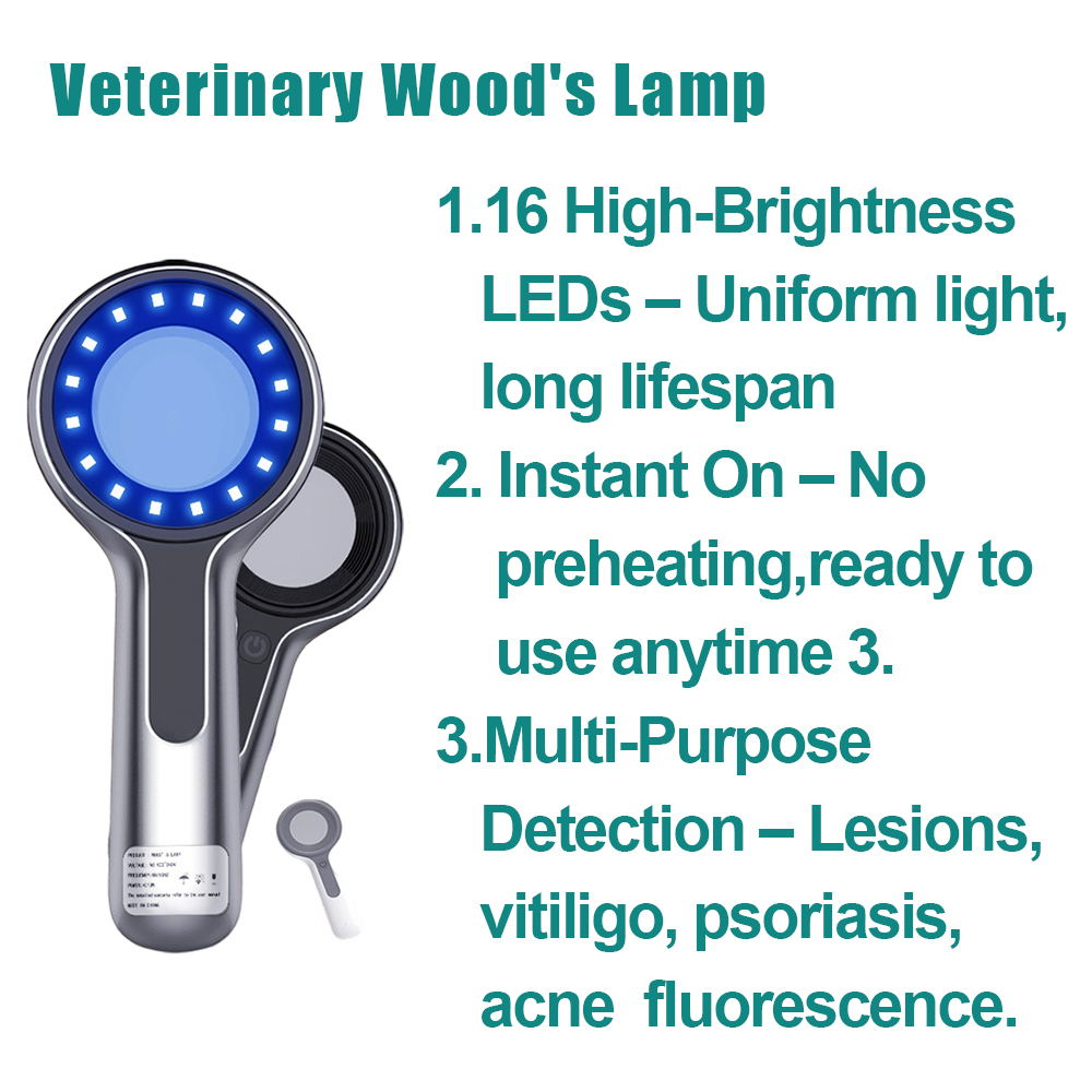 Sbce1940d8fcb405cb94da8979e380678C