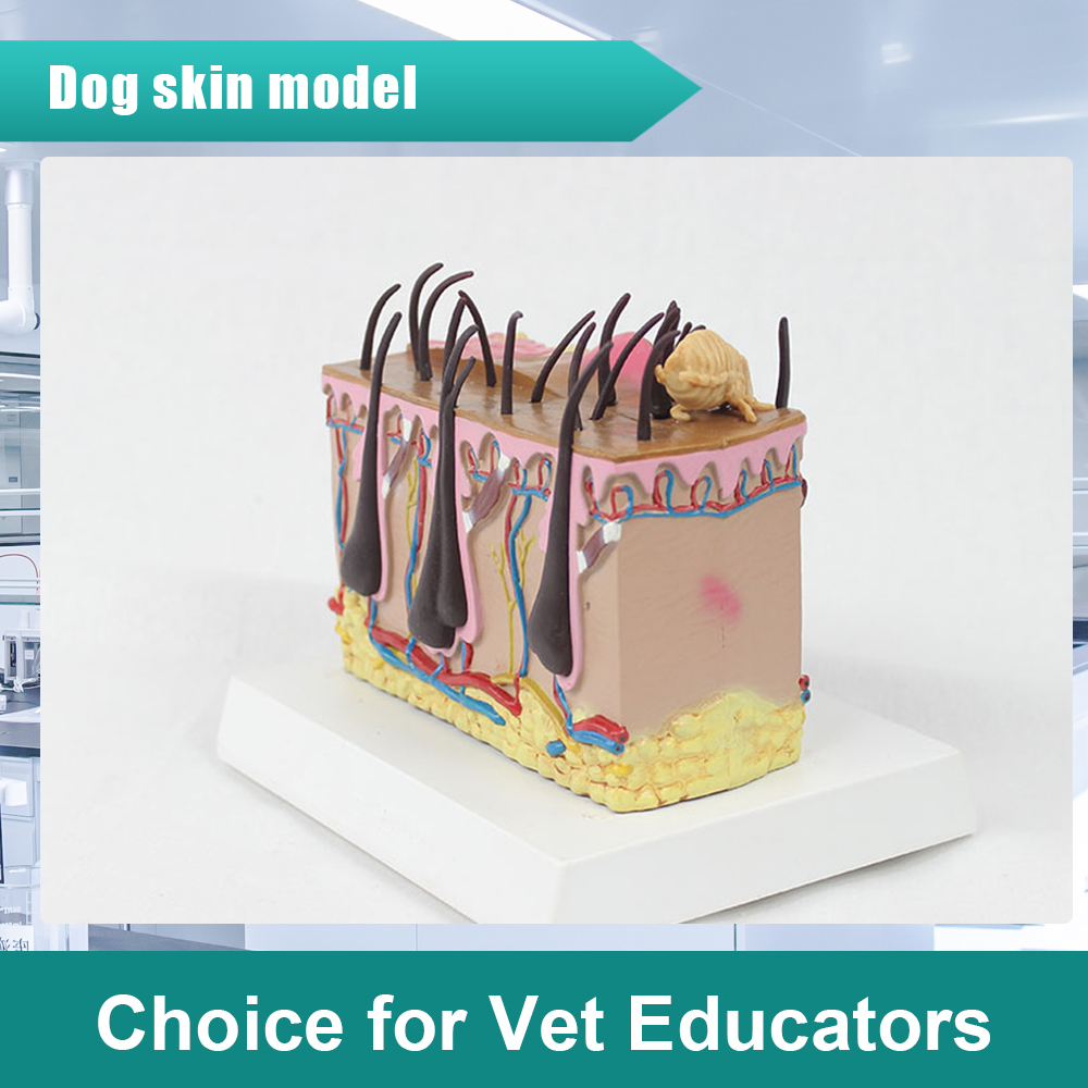 Sbd7138be6023480c91e2a8fa5af66789K