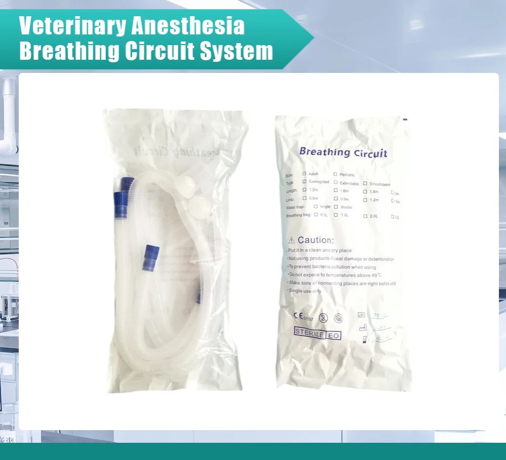 Sceb17ef9484a46898c59b278165a21808