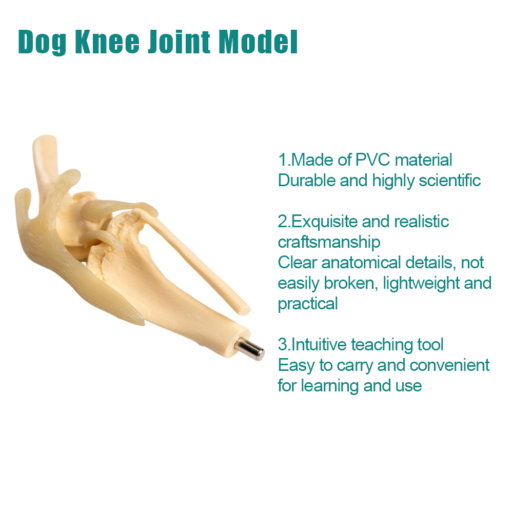 Sdac45fc35721485cab4024d342b88ce6k