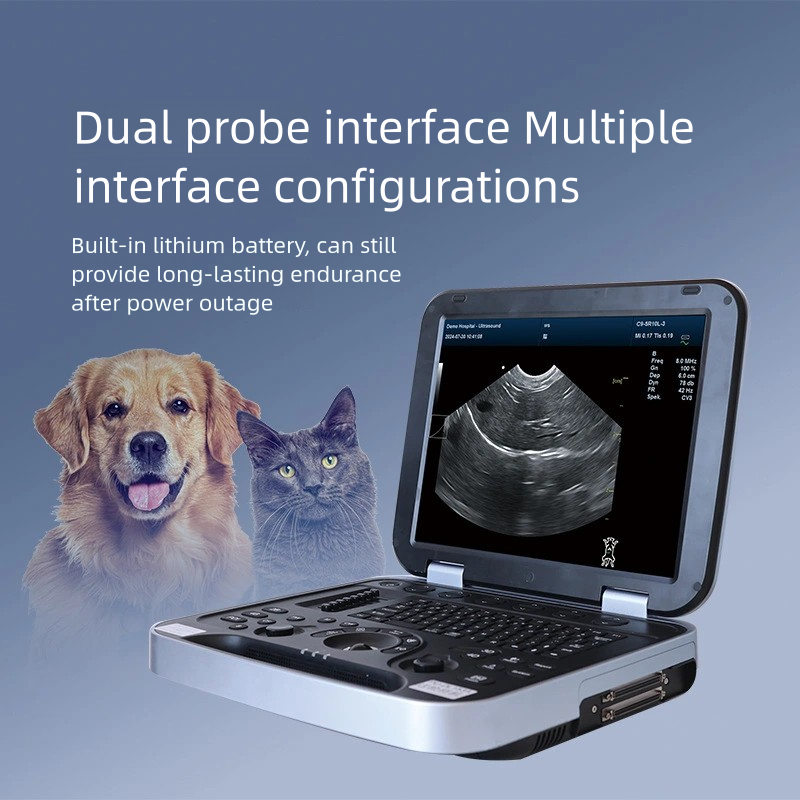 Sde760000a329482abab9c831fc94dc16f