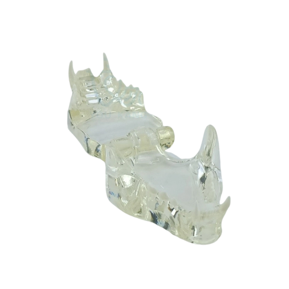 Se188cec943f54d52914d687aa6248344c