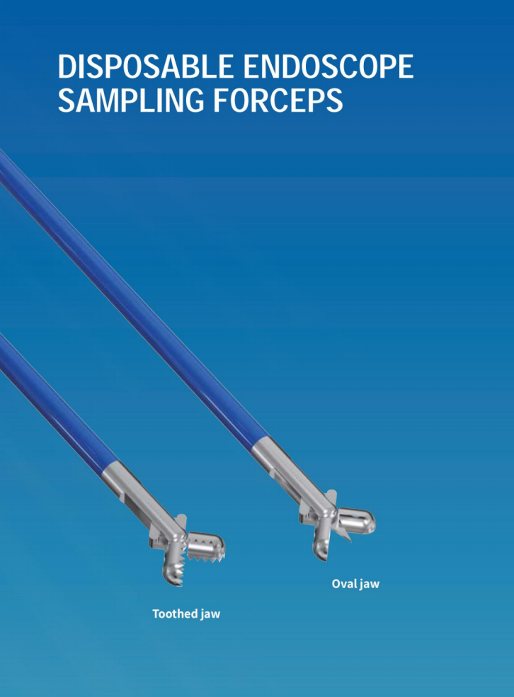 Se1d27e8ec65c45bf81d5306be6ac14bfB-1