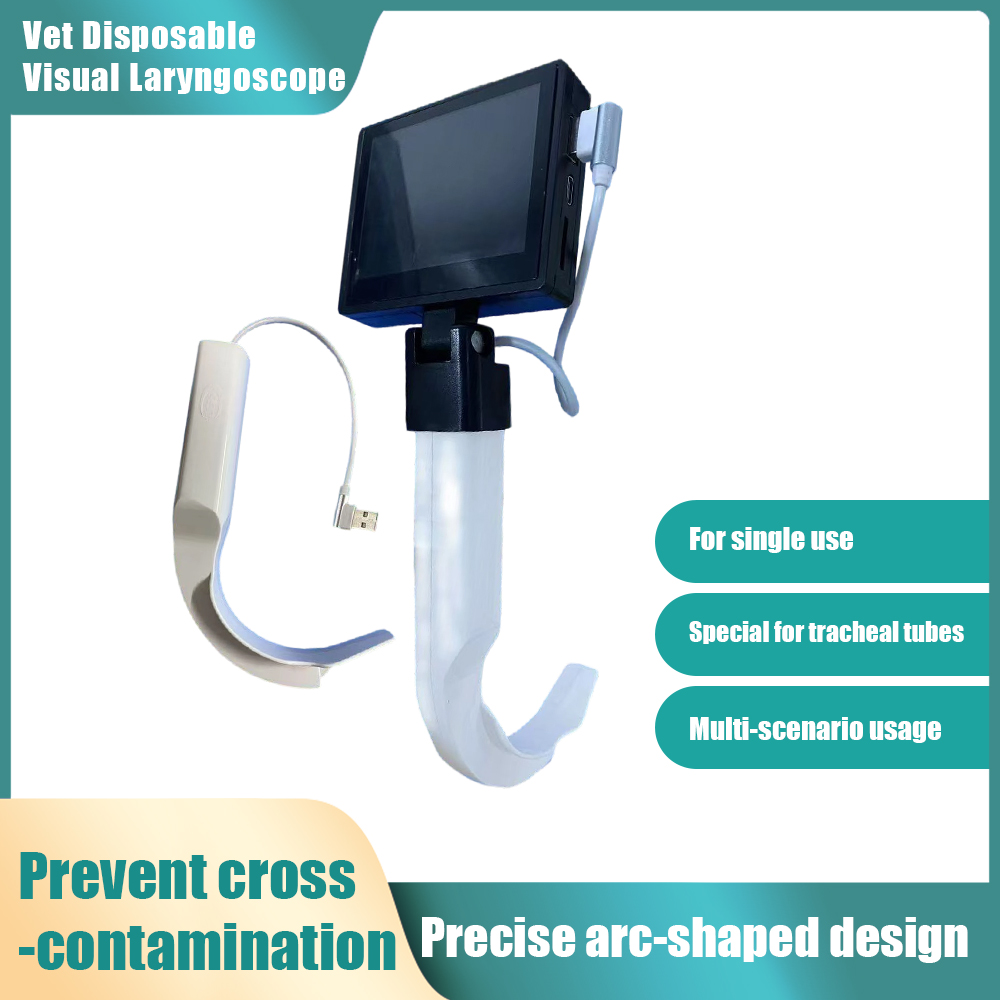 Se336315c84784490a511822336467d64I