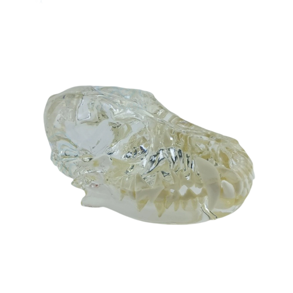 Se52d6b80e3974ee4b060d40722723349H