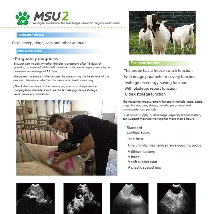 Se8d8eaa6899d4ee9b22c06b36453c440X