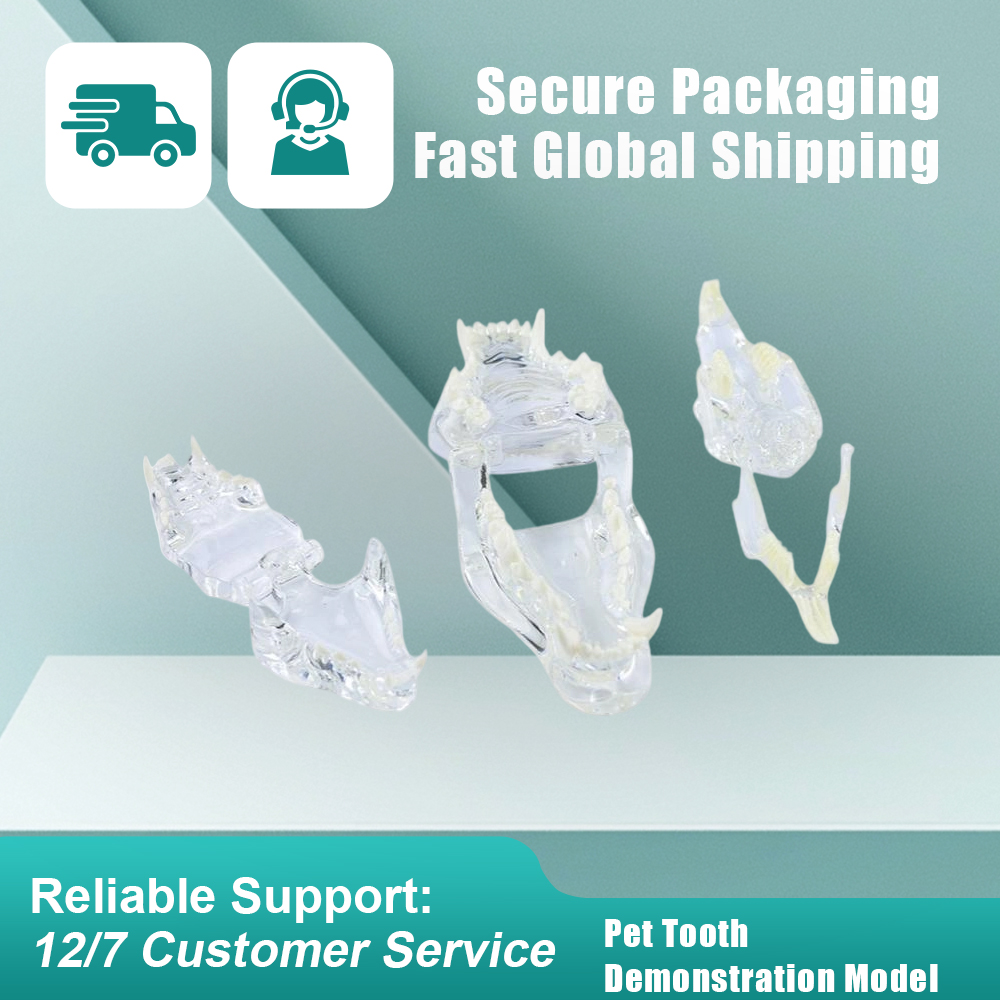 Se994a35751fa401d882aad71fdb5cc35F