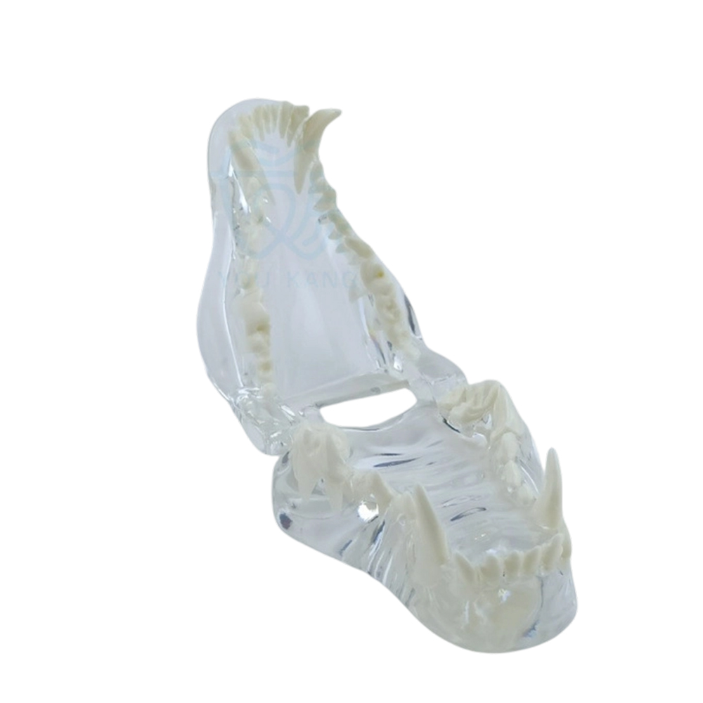 Sf7abec830bf04cdab1c608ed62ff4f48g